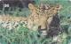 Télécarte - Taxcard : Onça Pintada - Panthera Onca - Selva