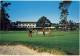 1970ties Mint Postcard From The 18th Hole At Famed Pebble Beach Golf Course, Mint - Big Sur