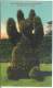 Canada, The Teddy Bear, Loretto Hall Gardens, Victoria, BC, Unused Linen Postcard [13025] - Victoria