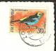 ST. LUCIA Antilles West Indes Stamp Suriname - Saint Lucia