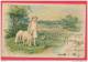 Bavaria Hold To Light 1899 Vintage Postcard, Easter, Child, Lambs - Hold To Light