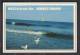 130089 / HELLO FROM THE JERSEY SHORE + 1992 STAMP AVIATION PIONEER PIPER   United States Etats-Unis USA - Storia Postale