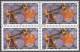 Andorra 2001 - Yvert: 550, 551, 552, 553  - Bloques De 4 -  ** MNH - Unused Stamps