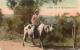 Another Use Of Carabao Philippines 1905 Postcard - Philippines