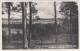 #AK002 - GERMANY - BLICK VOM HERRSCHER BERG ZUM KLEINEN PLAGE SEE - Chorin