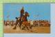 Calgary   ( Calf Roping By Gibbons ) Post Card Carte Postale - Calgary