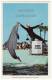 USA, St AUGUSTINE-DAYTONA FLORIDA, MARINELAND OCEANARIUM SHOW, PORPOISE JUMP, Vintage Unused Postcard C1960s [c3261] - Daytona