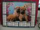 Les Chiens- Calendrier Almanach Du Facteur - Lavigne 2012 - Grand Format : 2001-...