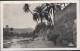 CPA ALGERIE Rp Real Photo No.16 Bou Saada Dans L'oued UNUSED NORD AFRIQUE Editions Photo Africaines 1 Rue Feuillet Alger - Other & Unclassified