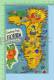 Greating From ( Florida Map  ) Post Card Carte Postale - Landkaarten