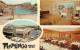 206771-Arizona, Tucson, Flamingo Motor Hotel, Multi-View, Swimming Pool, 1960s Cars - Tucson