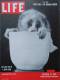 Magazine LIFE - OCTOBER 22 , 1951 - INTERNATIONAL EDITION -             (2997) - News/ Current Affairs