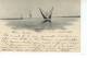 Barque Du Léman 1899 - Voiliers