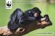 (NZ22-029  )  Black Spider Monkey,   Endangered Species W.W.F. Wwf,  Postal Stationery-Postsache F - Andere & Zonder Classificatie