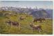 ALP-IDYLL AUF RIGI-KULM MIT BERNERALPEN - KUHE - GESHRIEBEN 1934 - 2 SCANS - - Bern