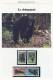 Document De 8 Feuilles (WWF )le Chimpansé. Avec 4 Valeurs Luxe ***+ 4 Val/avec Cachet Du 19/5/1983. - Chimpanzés