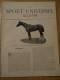 Delcampe - 1897 BOXE SALLE CASTERES / HARAS DE MATEBA CONGO BELGE /ETABLISSEMENT LAMICHE ET DOMANGE PARIS - Revues Anciennes - Avant 1900