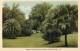 Botanical Garden Port Of Spain Trinidad BWI Old Postcard - Trinidad