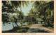 A North Coast Road Trinidad BWI Old Postcard - Trinidad