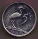 SOUTH AFRICA SUID-AFRIKA 5 CENTS 1977 OISEAU BIRD - South Africa