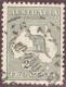 Australien 1925 Two Pence Mi#41IY Gestempelt Kopfstehendes Wasserzeichen - Used Stamps