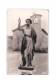 11 FLEURY (envs Coursan) Chapelle St Pierre La Mer, Statue De St Jean Baptise, Ed Morina, CPSM 9x14, 195? - Autres & Non Classés