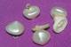 Lot De 6 Splendides BOUTONS NACRE PYRAMIDES  Pour Corsage - Knopen