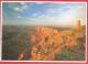 CARTOLINA VIAGGIATA STATI UNITI -  GRAND CANYON NATIONAL PARK - ANNULLO TONDO PHOENIX 03 - 09 - 1993 - Grand Canyon