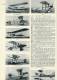 Magazine FLIGHT - 1 July 1955 - (3105) - Fliegerei