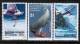 AUSTRALIAN ANTARCTIC TERRITORIES   Scott #  C 23-34**  VF MINT NH - Mint Stamps