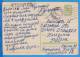 Russia, URSS. Rabbit, Lapins Mushrooms, Champignons Postal Stationery Postcard 1963 - Conejos