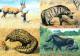 Botswana - 1992 Animals Postcard Set Mint - Botswana