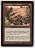 CARTE MAGIC THE GATHERING - FORTERESSE - LOT 243 CARTES - VOIR DESCRIPTIONS ET PHOTOS - Lots