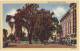 STAMFORD CT- WEST PARK STREET SCENE~c1940s Linen CONNECTICUT Postcard-CARS  [c3688] - Stamford