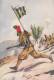 MILITARI SOLDATI COLONIALI ESERCITO FANTERIA ILL.LA MONACA "XII°BATTAGLIONE INDIGENI DELL´ERITREA- AUTENTICA - Manovre