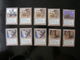 Delcampe - CARTE MAGIC THE GATHERING - TERRES NATALES - LOT 232 CARTES - VOIR PHOTOS ET DESCRIPTION - Lots