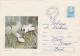 EGRETA MARE, EGRET, 1971, COVER STATIONERY, ENTIER POSTAUX, ROMANIA - Cigognes & échassiers