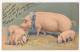 New Year Pig  Vintage Original Postcard Cpa Ak (W3_1522) - Cerdos