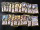 Delcampe - CARTE MAGIC THE GATHERING - ALLIANCES - LOT 320 CARTES - VOIR PHOTOS ET DESCRIPTION - Lots