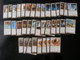 CARTE MAGIC THE GATHERING - AQUILON - LOT 204 CARTES - VOIR PHOTOS ET DESCRIPTION - Lotti