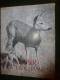 1952  N° 9    PLAISIR De La CHASSE... Voir Aussi : Eléphant Du Gabon.... Envoi Gratuit Pour La France Et Le Monde Entier - Jacht/vissen