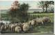 UNITED KINGDOM 1907 - SHROPSHIRE SHEEP  SHINING -ADDR TO HINDHEAD SURREY  W 1 ST OF 1/2 PENNY  POSTM - LONDON W NOV 7, 1 - Shropshire