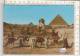 PO8784B# EGITTO - EGYPT - GIZA - SFINGE E PIRAMIDE DI CHEOPE - CAMMELLIERI  VG 1983 - Gizeh