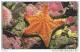 Isle Of Man, MAN 170, 2 £, Red Cushian Starfish, 2 Scans. - Man (Isle Of)