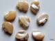Lot De 2 Perles "Ours Zuni" En Véritable Nacre Naturelle Environ 12x9mm Ces Perles Sont Percées Du Ventre Au Dos. - Perle