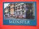 MUNSTER CAVETE - Muenster