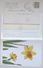 Cp Lot 4x Litho Illustrateur 1x MEISSNER Buch Theme Fleur Jonquille Jonquilles  NARCISSE 1x Precurseur - Colecciones Y Lotes