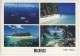 MALDIVES -  MALE ATOLL   Multi View   By Michael Friedel   -   2002, Nice Stamp Thematic Fish - Maldiven