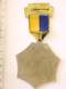Insigne Médaille WANDERTAG 80 FF RABENSBURG (Austria) - Feuerwehr