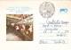 AGRICULTURE, TRACTORS, COWS, SPECIAL POSTMARK ON COVER STATIONERY, 1982, ROMANIA - Agriculture